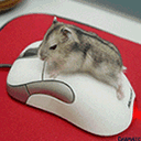 pic for True Mouse